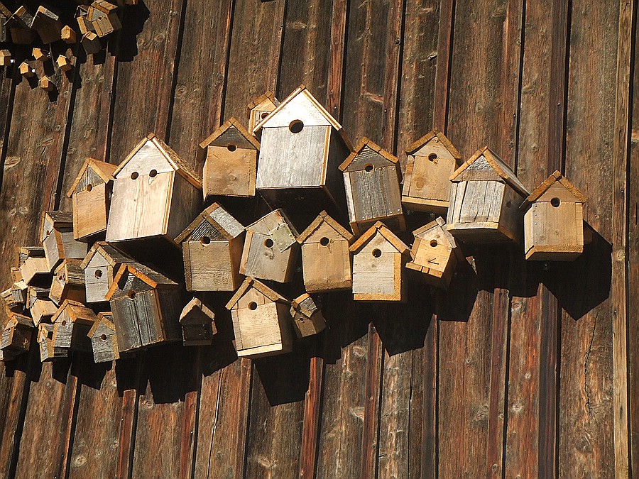 Vogelhäuschen in Bad Faulenbach