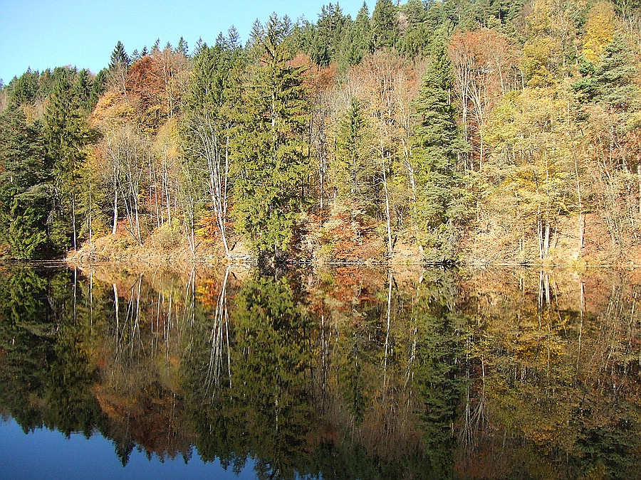 Gipsbruchweiher in Bad Faulenbach