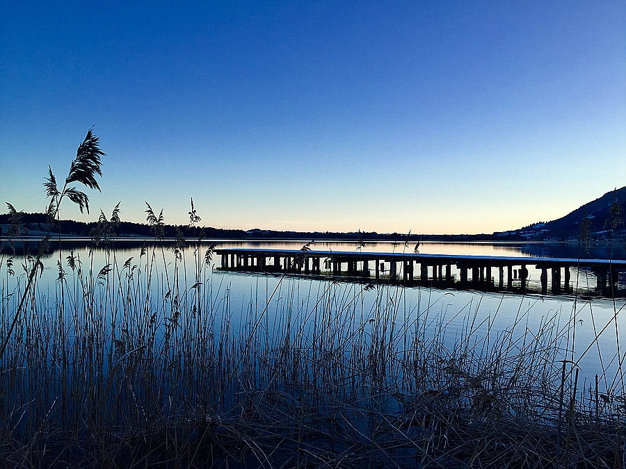 Morgenstimmung am Bannwaldsee